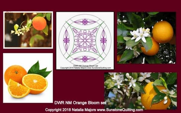 8 DWR NM Orange bloom 600x375