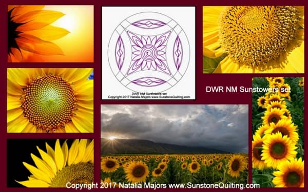 DWR NM Sunflowers 600x375 1